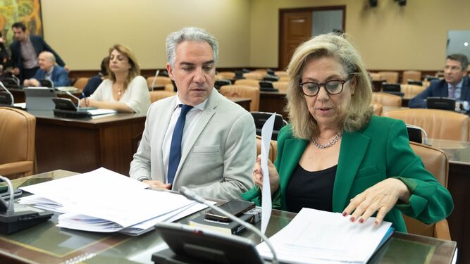 Elías Bendodo, este martes en la reunión de la comisión del caso Koldo