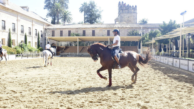 Jinetes montan a caballo en Caballerizas Reales.