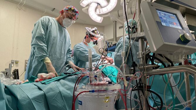 Profesionales sanitarios durante una operación quirúrgica.